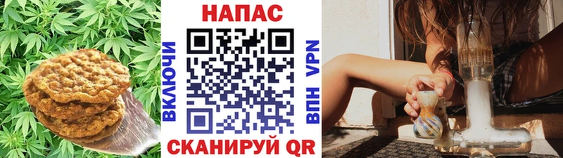 наркотики  Данков  Еда ТГК конопля 