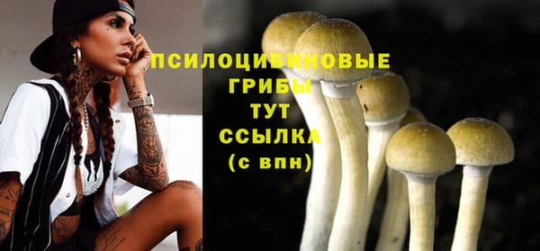 винт Армянск