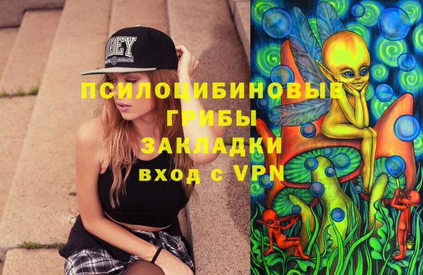 винт Армянск